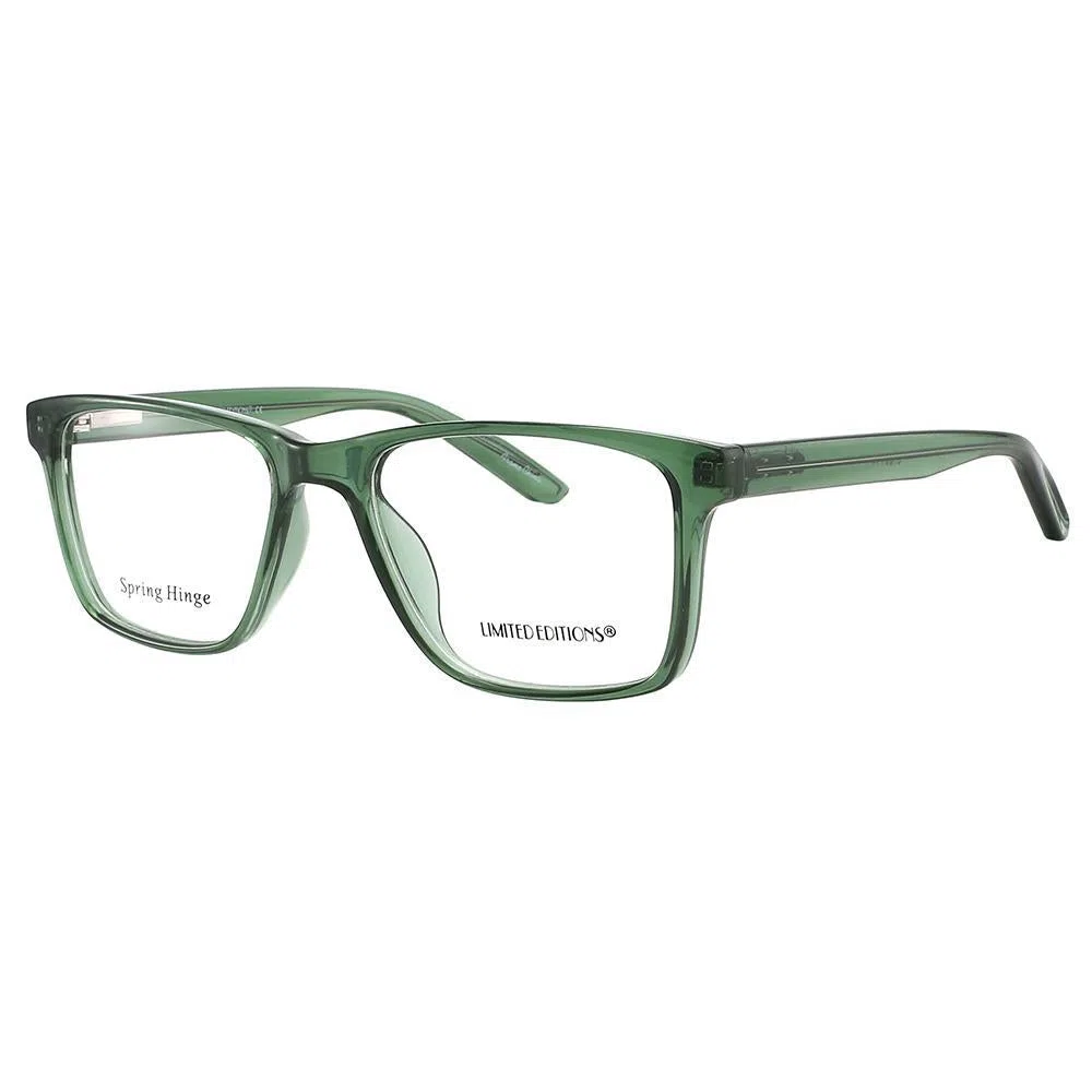 LIMITED EDITIONS 2254 Eyeglasses - view 5